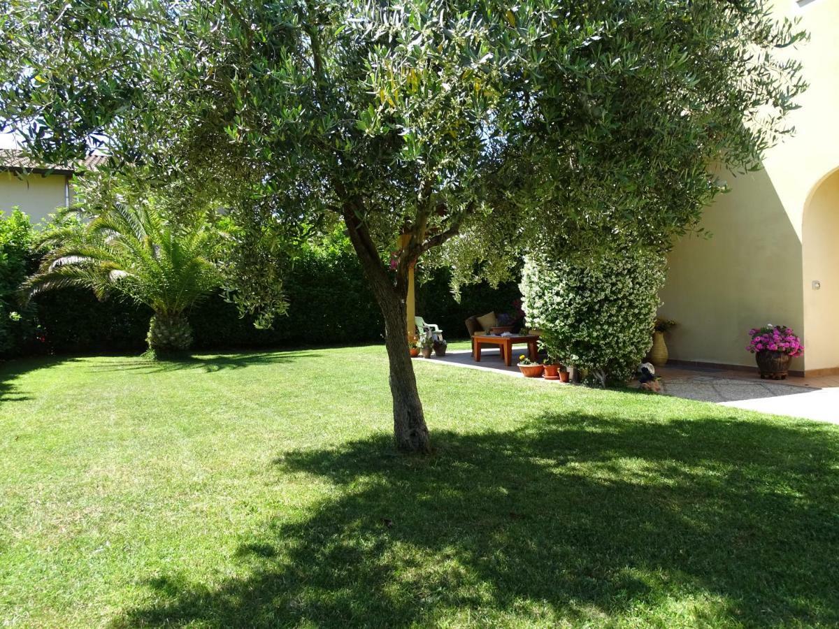 B&B La Dolce Vita Марсилиана Екстериор снимка