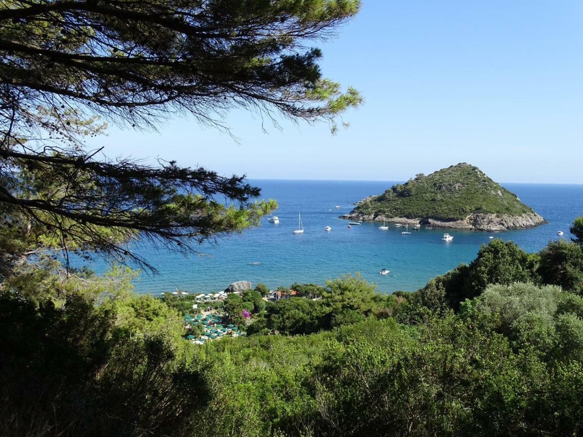 B&B La Dolce Vita Марсилиана Екстериор снимка